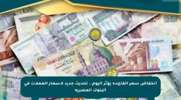 انخفاض سعر الفائدة يؤثر اليوم.. تحديث جديد لأسعار العملات في البنوك المصرية